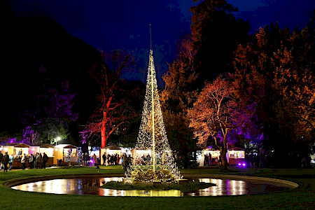 Bild Glarus Tagesfahrt 27. November 2026